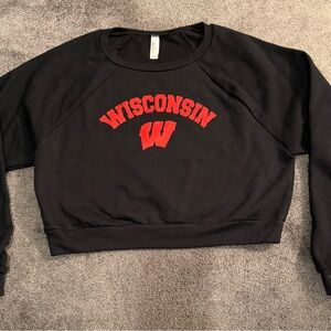 University of Wisconsin Crop Sweatshirts Size Medium